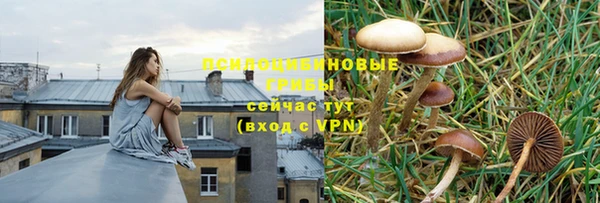 прущие крисы Алзамай