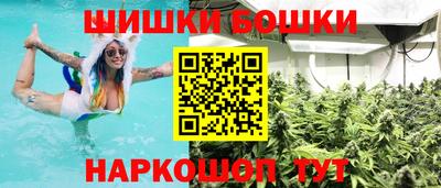 spice Вязьма