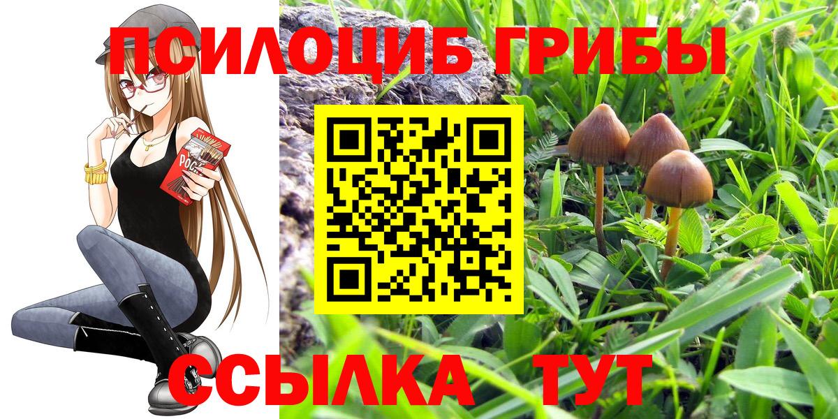 Кореновск  Галлюциногенные грибы Magic Shrooms  Вход с VPN 